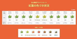 2024立山黒部アルペンルート最新紅葉情報